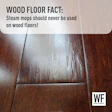 Wf Facts 26 Tk2