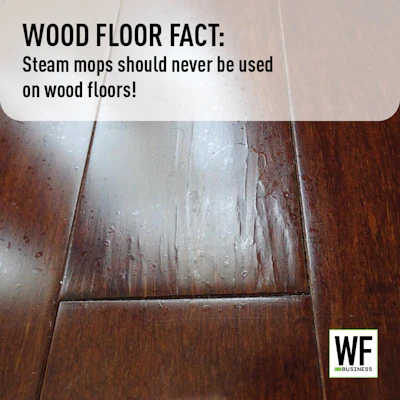 Wf Facts 26 Tk2