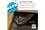 As26 Tale Here Kitty Kitty Ax