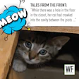 As26 Tale Here Kitty Kitty Ax