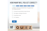 Quiz Drums
