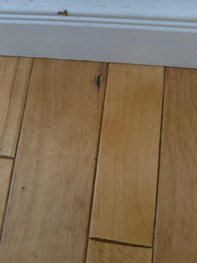 Damaged Wood Floor Dent Img 2775