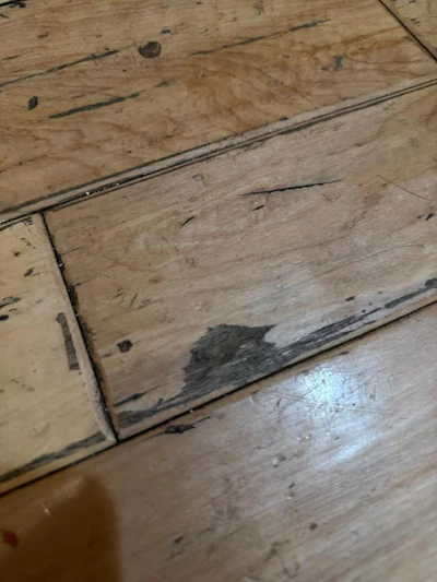 Damaged Wood Floor Wear Img 2772