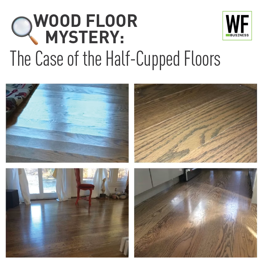 Wood floor mystery guide showing cupped and crowned hardwood floor damage with four comparison photos and WF Business logo
