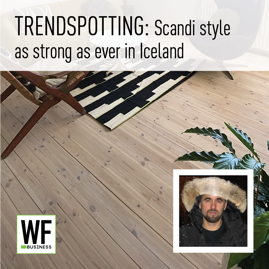 Scandinavian interior design featuring wooden flooring, striped rug, and potted plant with WE BUSINESS logo