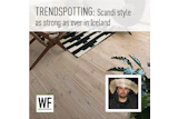 Scandinavian interior design featuring wooden flooring, striped rug, and potted plant with WE BUSINESS logo