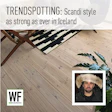 Scandinavian interior design featuring wooden flooring, striped rug, and potted plant with WE BUSINESS logo