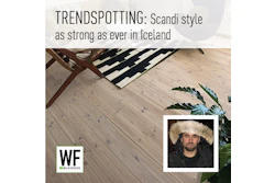 Scandinavian interior design featuring wooden flooring, striped rug, and potted plant with WE BUSINESS logo