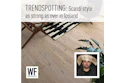 Scandinavian interior design featuring wooden flooring, striped rug, and potted plant with WE BUSINESS logo