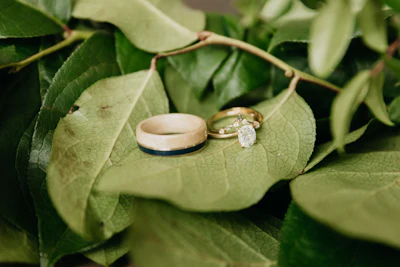Josh's ring features maple, gold and a layer of Timberwolves-blue, sourced from right below the hoop in the Target Center.