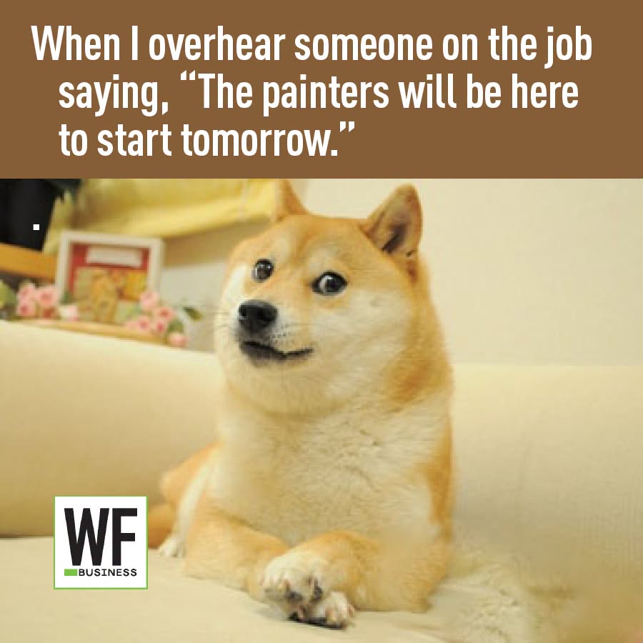 Shiba Inu dog with slight smile in home setting with WF Business logo