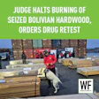 Drug enforcement officials with detection dog inspect seized Bolivian hardwood shipment at port facility