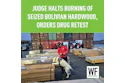 Drug enforcement officials with detection dog inspect seized Bolivian hardwood shipment at port facility