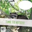 Raccoon peeking from tree branch with 'Time to Vote' message and WE Business logo