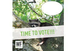 Raccoon peeking from tree branch with 'TIME TO VOTE!!!' message and WE Business logo