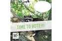 Raccoon peeking from tree branch with 'TIME TO VOTE!!!' message and WE Business logo