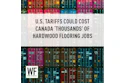 Colorful shipping containers with headline about U.S. tariffs affecting Canadian hardwood flooring jobs, WE Business logo