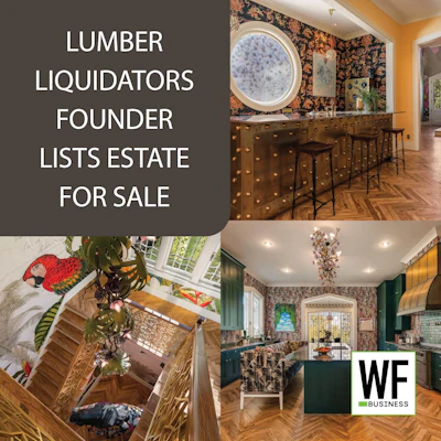 Luxury home interior featuring elegant bar area with round mirror, staircase with parrot, green kitchen, and WE Business logo